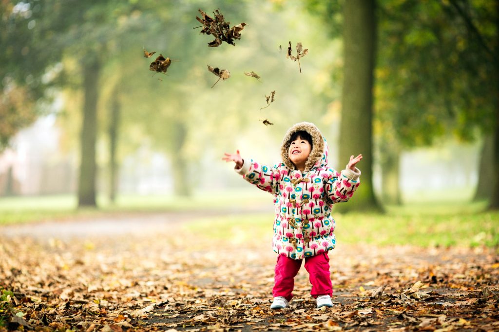 small girl, age three, throws autumn leaves in a Salford park
